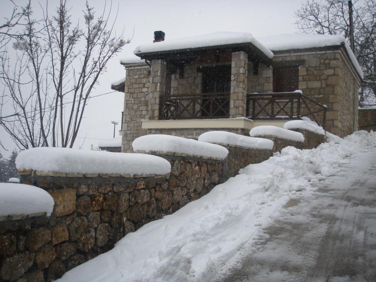 Aelia Home Synikia Mesi Trikalon Luaran gambar
