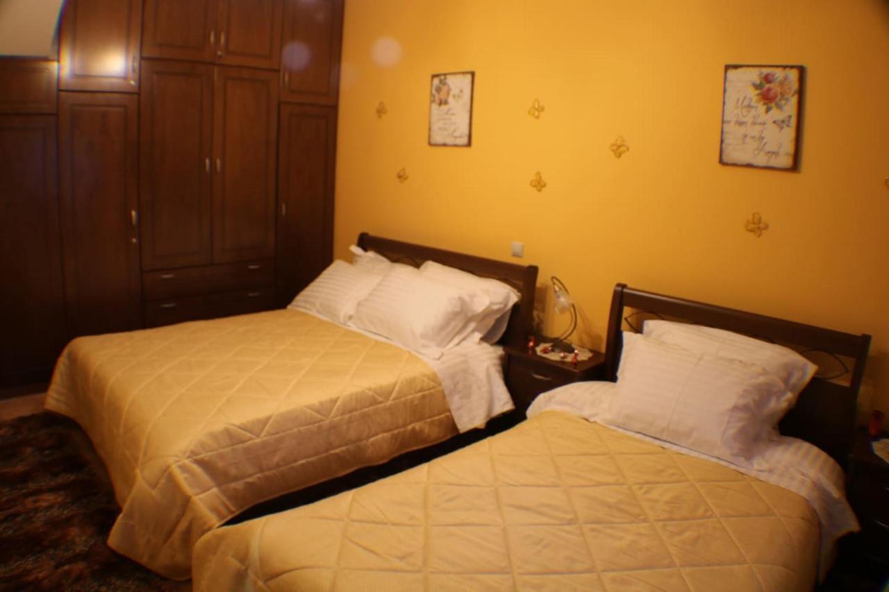 Aelia Home Synikia Mesi Trikalon Luaran gambar